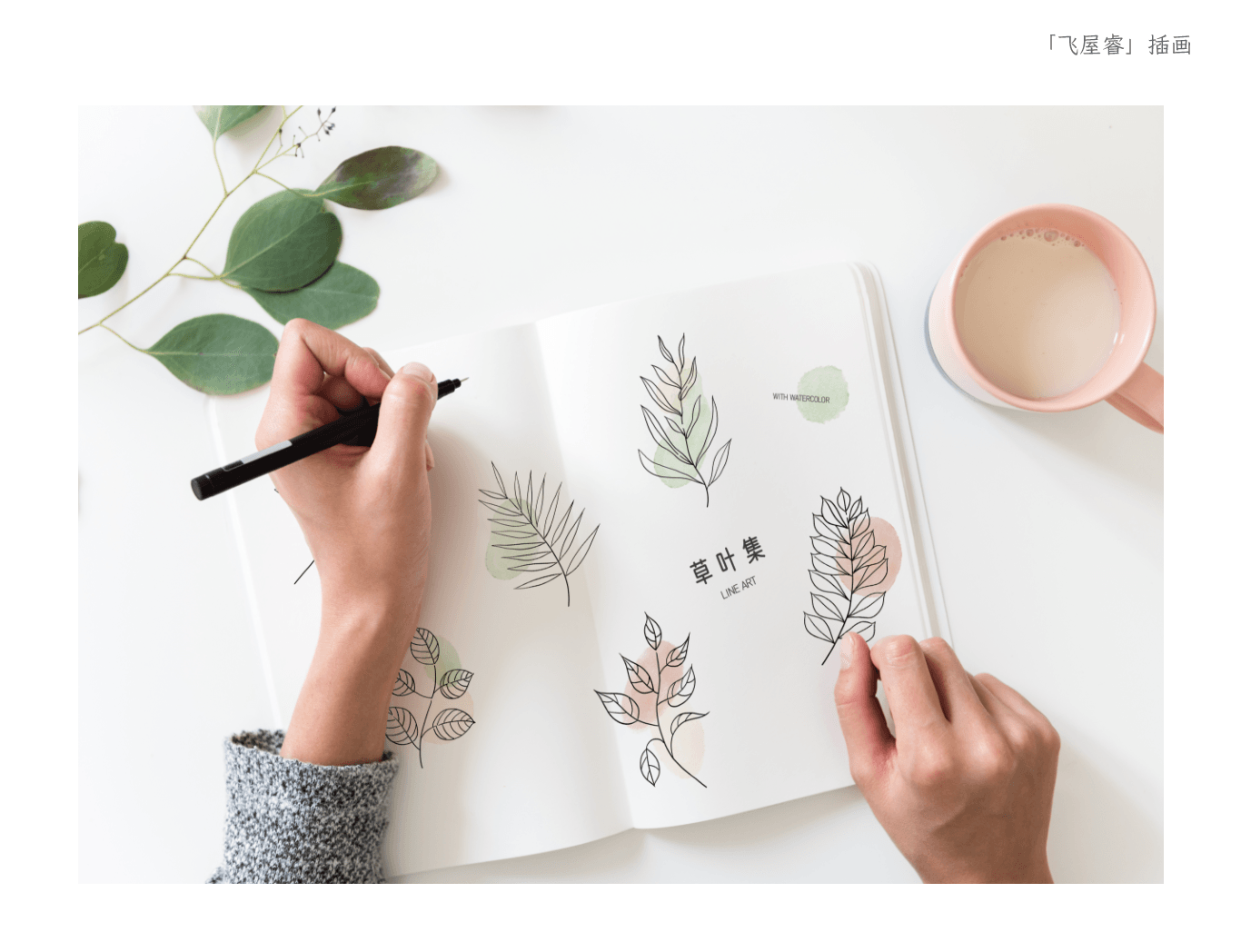 神仙级控线练习 文艺极简水彩线描简笔画植物 草叶集 二 文章列表 飞屋设计